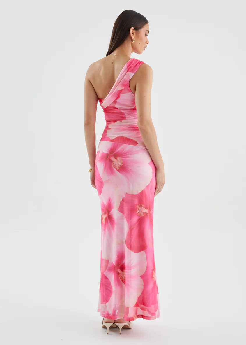 Allina Mesh Maxi Dress - Blush Flowers - Image 8
