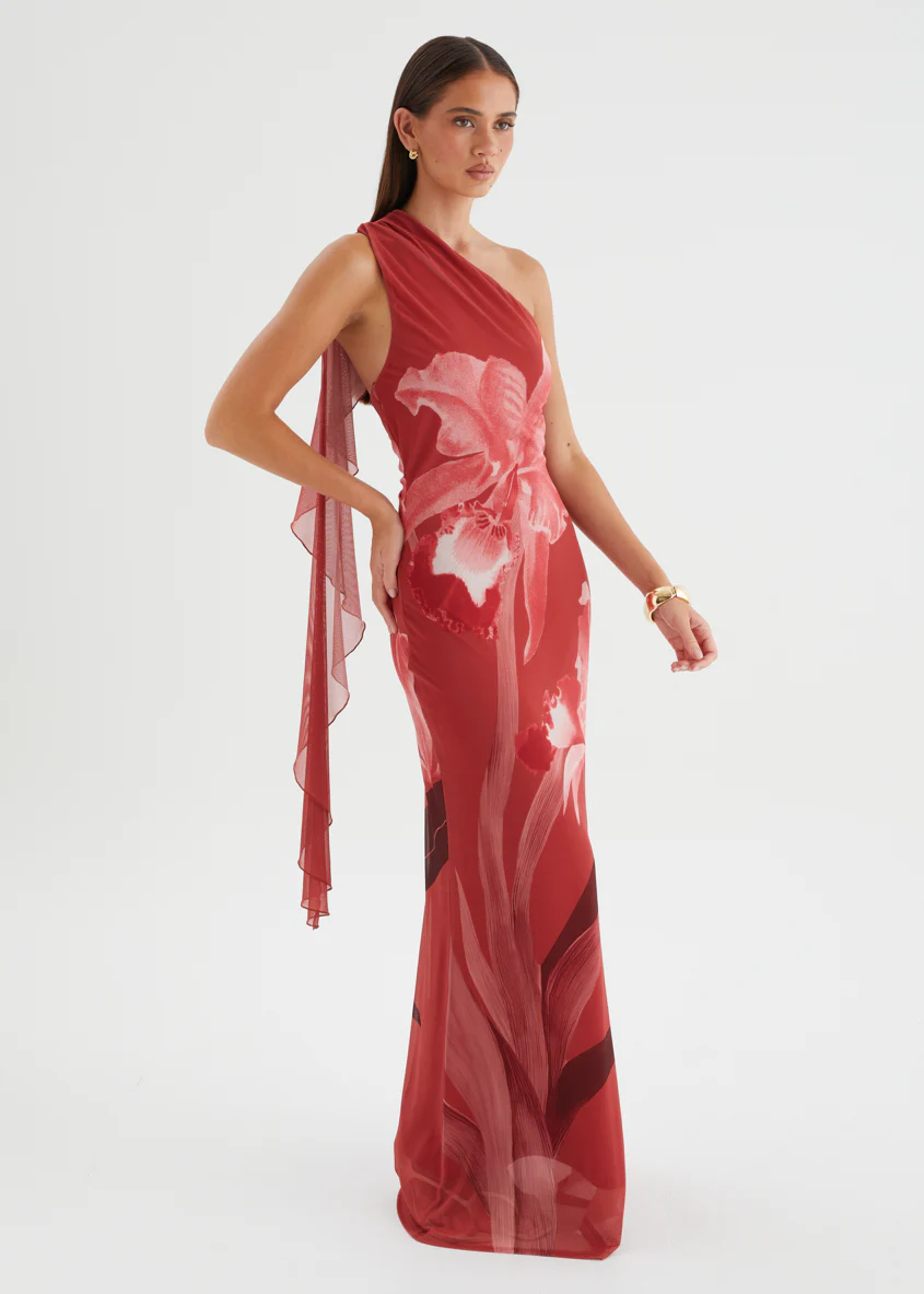 Anjy One Shoulder Mesh Maxi Dress - Strawberry Bloom - Image 2