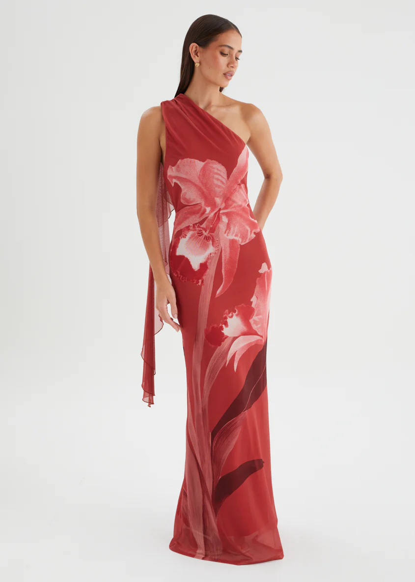 Anjy One Shoulder Mesh Maxi Dress - Strawberry Bloom - Image 4