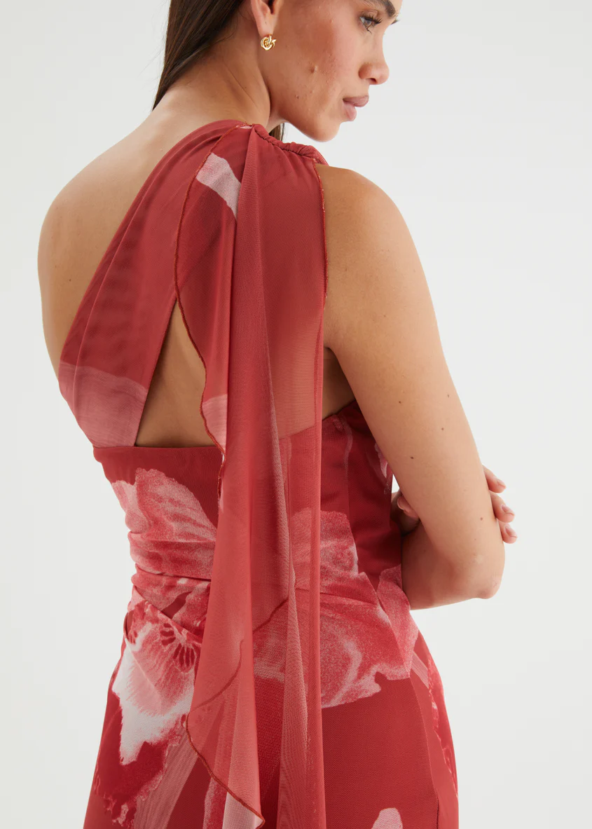 Anjy One Shoulder Mesh Maxi Dress - Strawberry Bloom - Image 8
