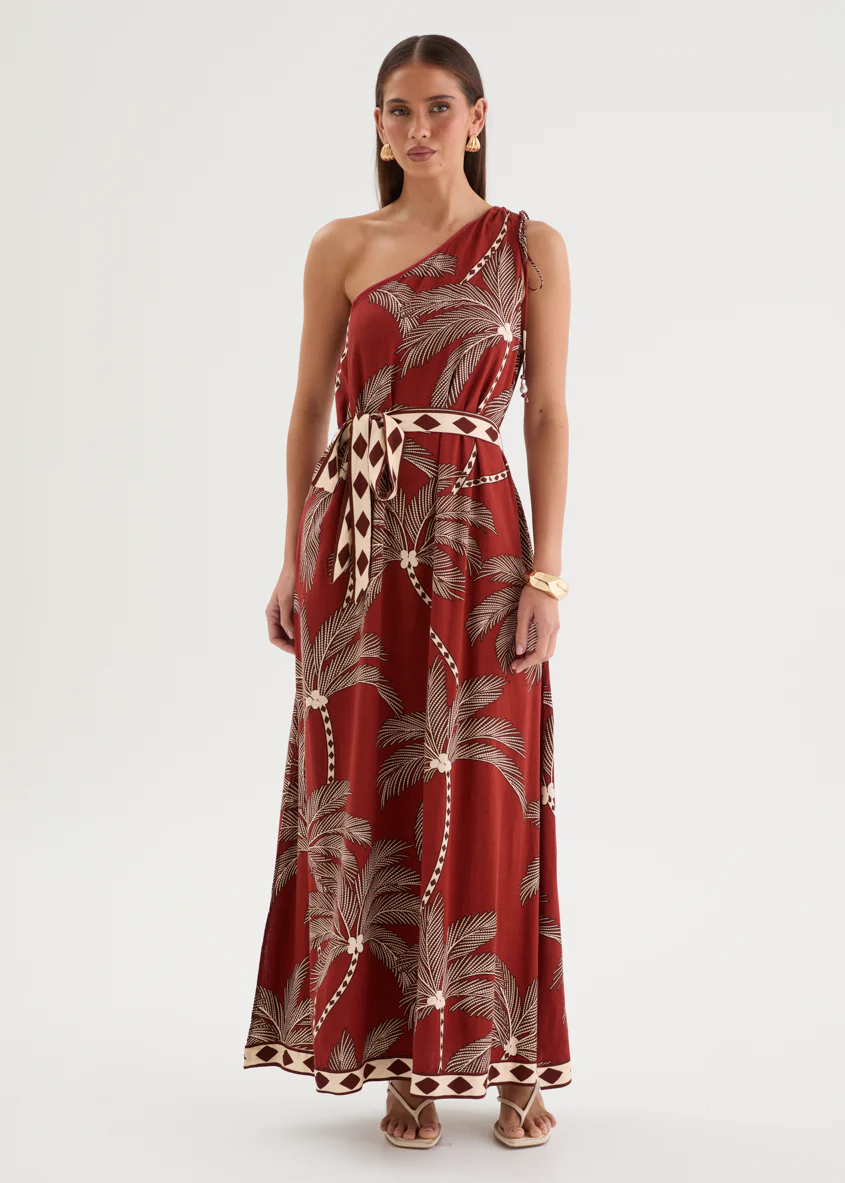 Biana One Shoulder Maxi Dress - Buena Vista - Image 3