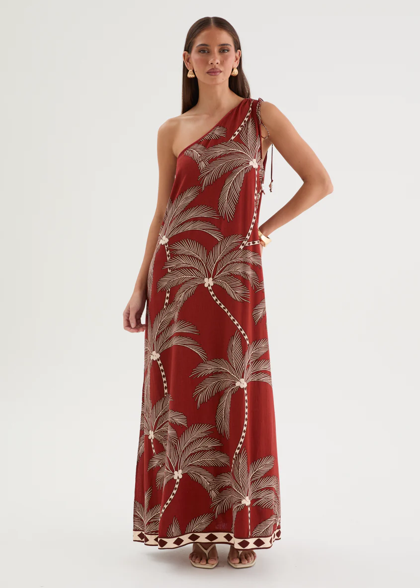 Biana One Shoulder Maxi Dress - Buena Vista - Image 5