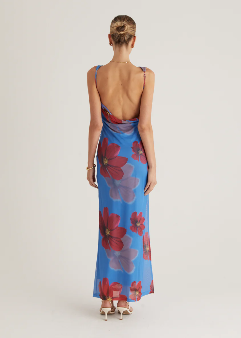 Rivka Mesh Maxi Dress - Blue Floral - Image 11