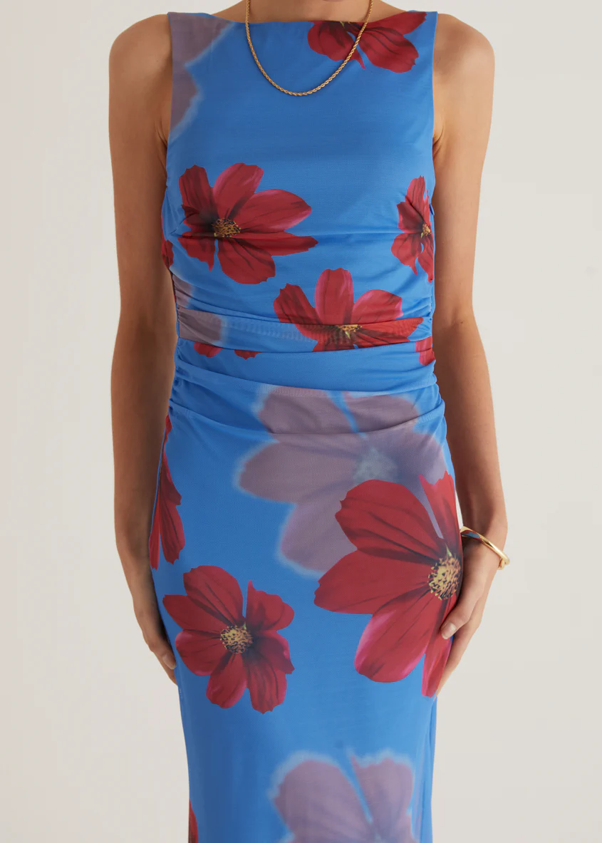 Rivka Mesh Maxi Dress - Blue Floral - Image 12