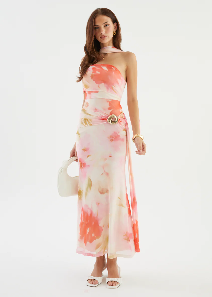 Shilah Mesh Maxi Dress - Blush Garden - Image 5