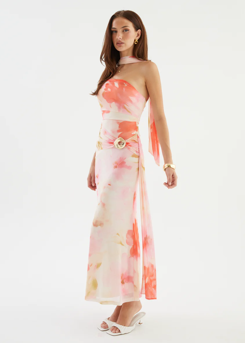 Shilah Mesh Maxi Dress - Blush Garden - Image 8