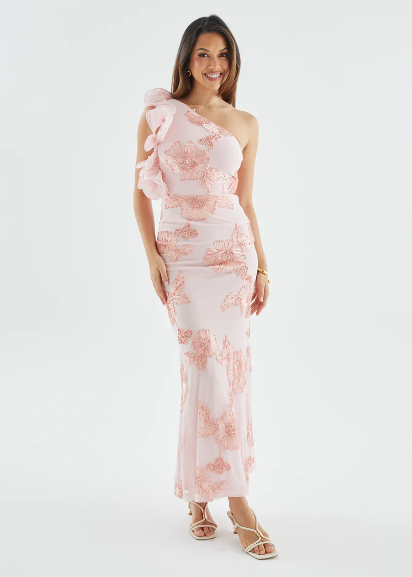 Taysia One Shoulder Mesh Maxi Dress - Blush - Image 2