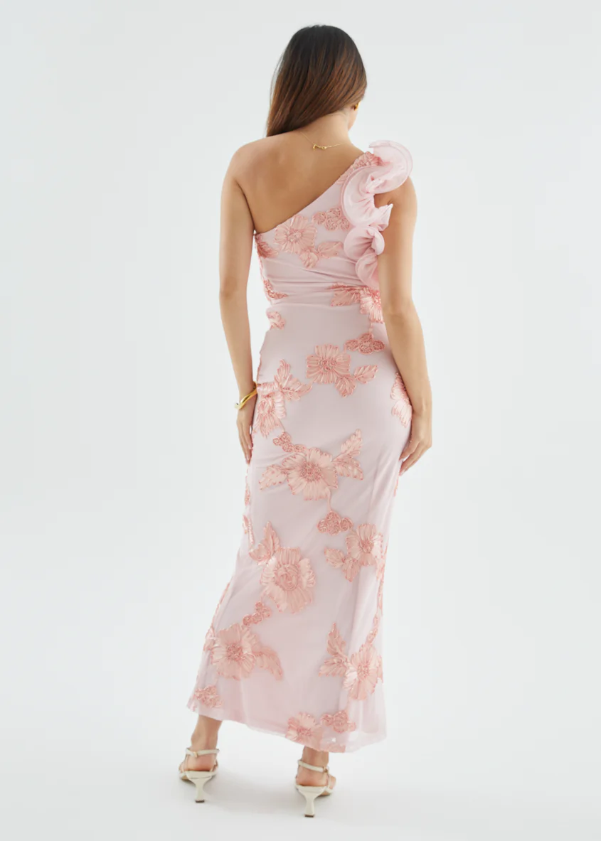 Taysia One Shoulder Mesh Maxi Dress - Blush - Image 6